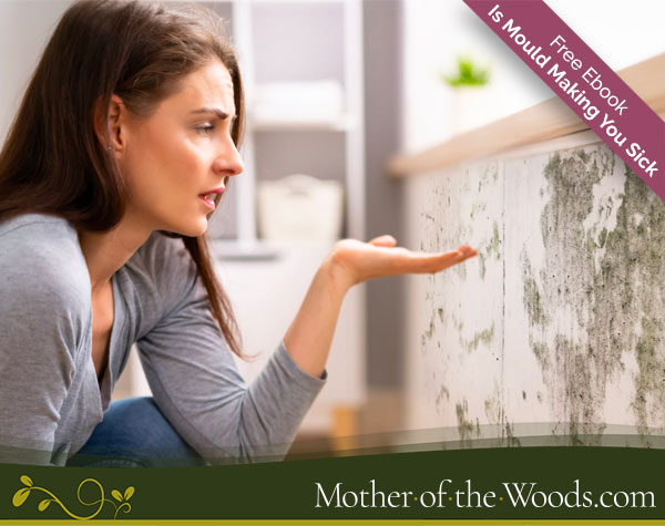 MotherOfTheWoods_.Ebook_Mould
