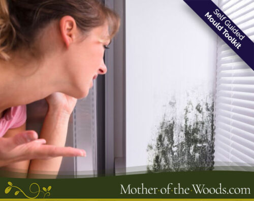 Mould Illness Toolkit